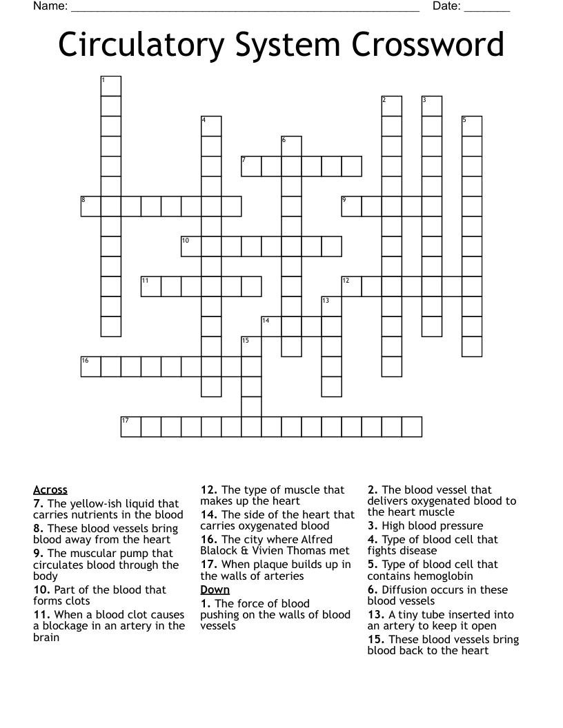 Circulatory System Crossword