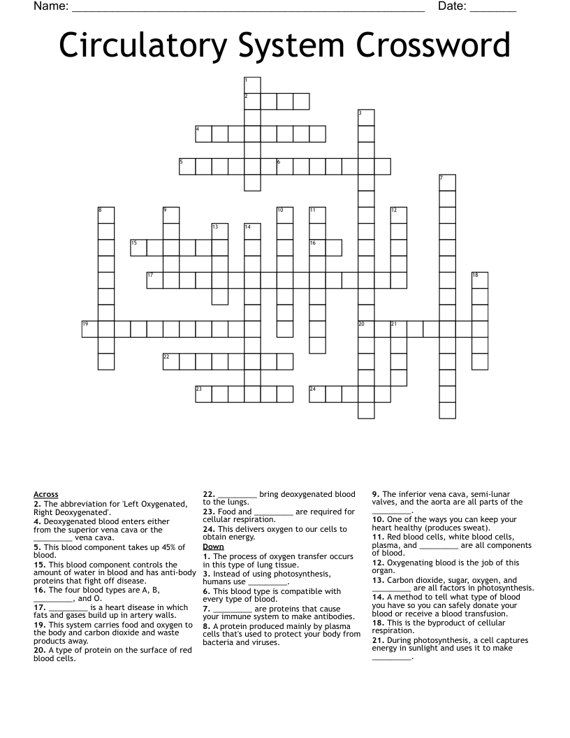 Circulatory System Crossword