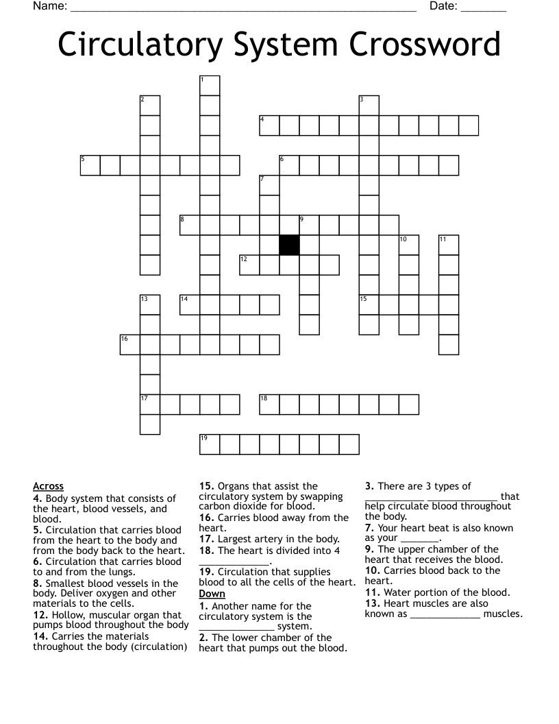 Circulatory System Crossword