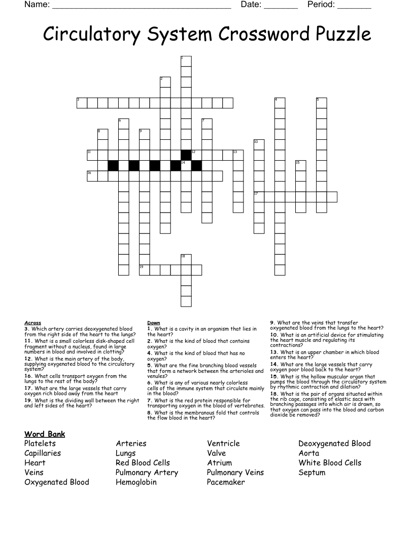 Circulatory System Crossword Puzzle