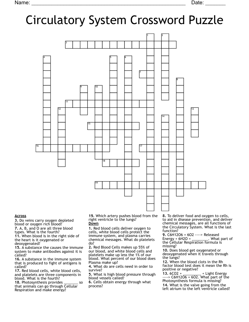 Circulatory System Crossword Puzzle