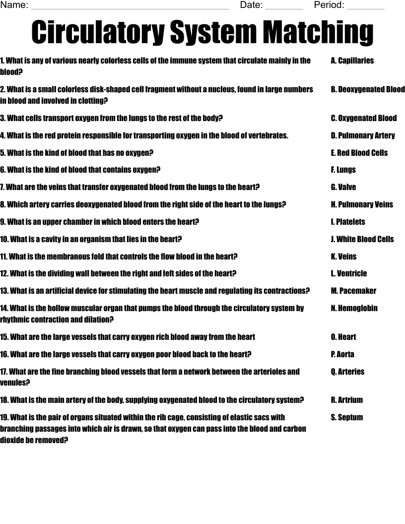 Circulatory System Matching Worksheet