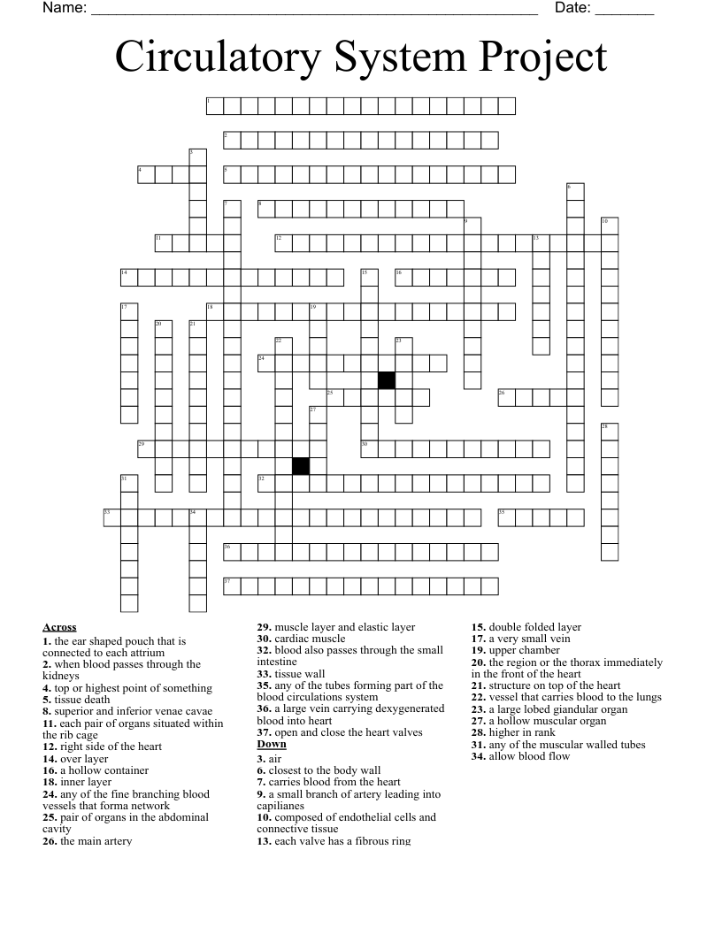 Circulatory System Project  Crossword