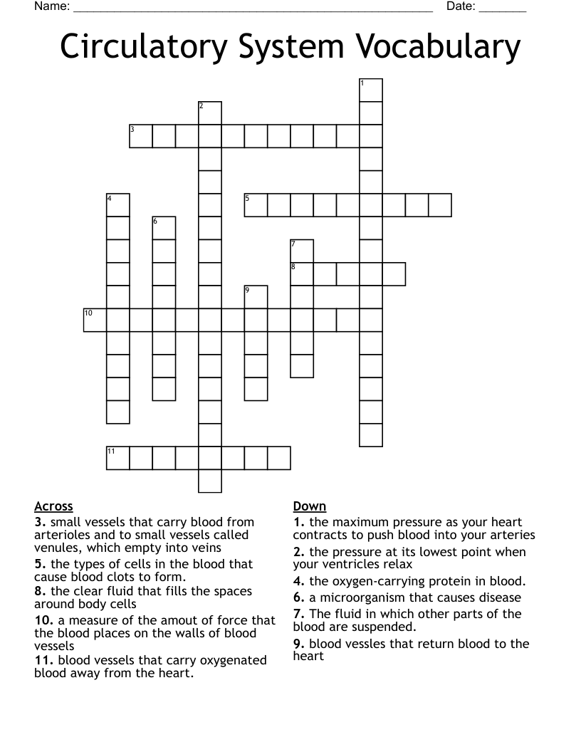 Circulatory System Vocabulary Crossword
