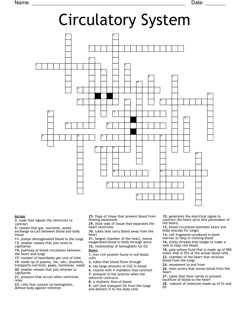 Circulatory System  Crossword