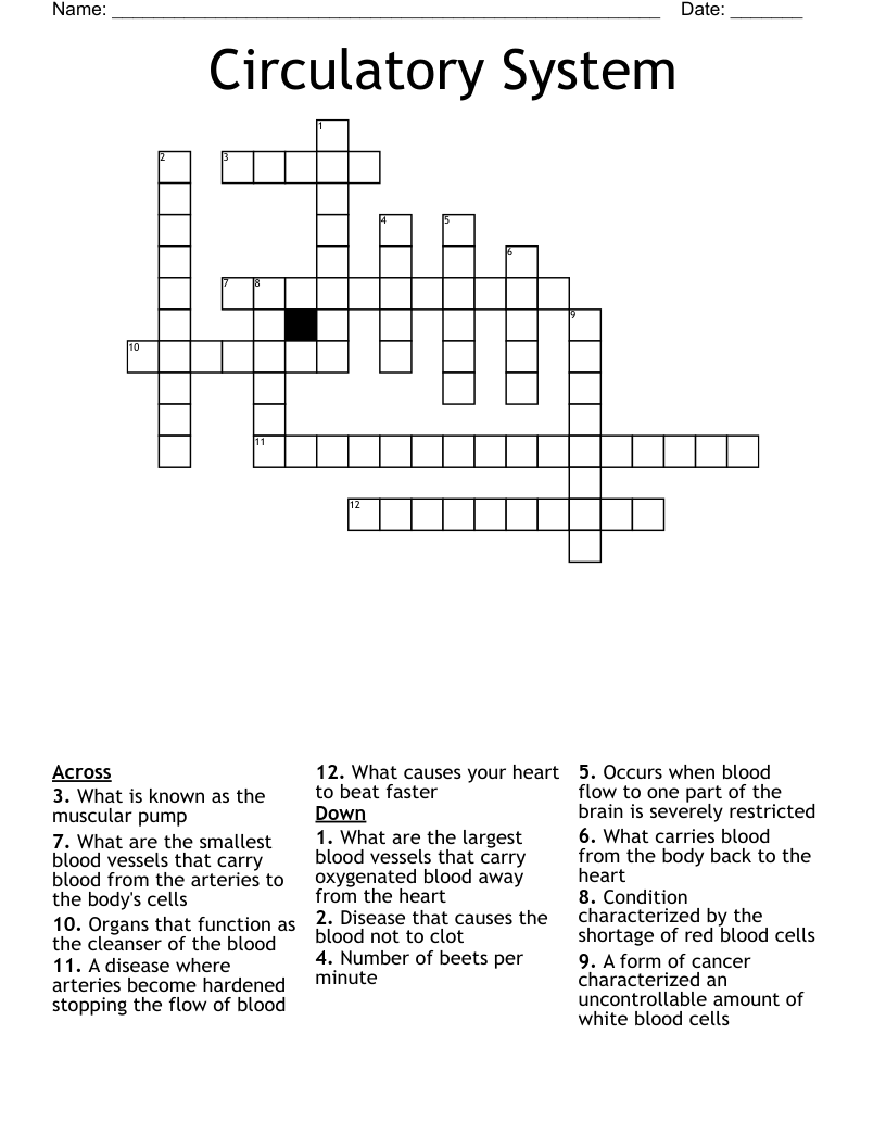 Circulatory System  Crossword
