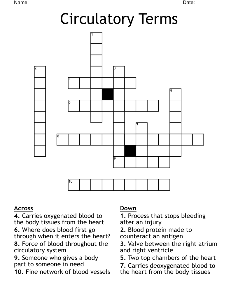 Circulatory Terms  Crossword