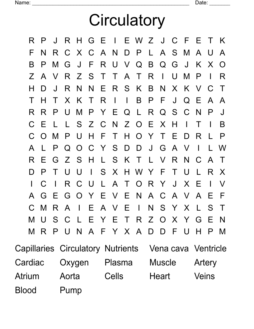 Circulatory  Word Search