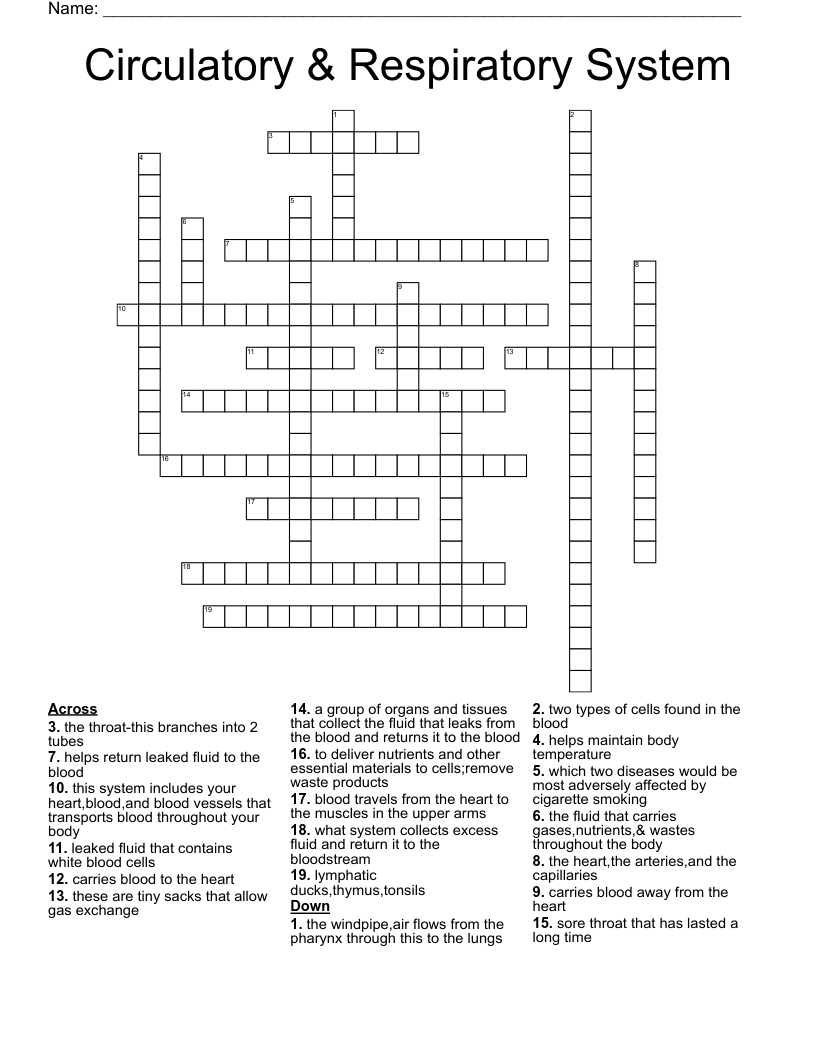 Circulatory & Respiratory System Crossword