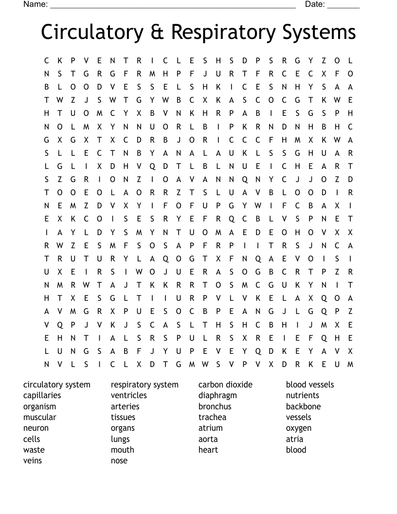 Circulatory & Respiratory Systems Word Search