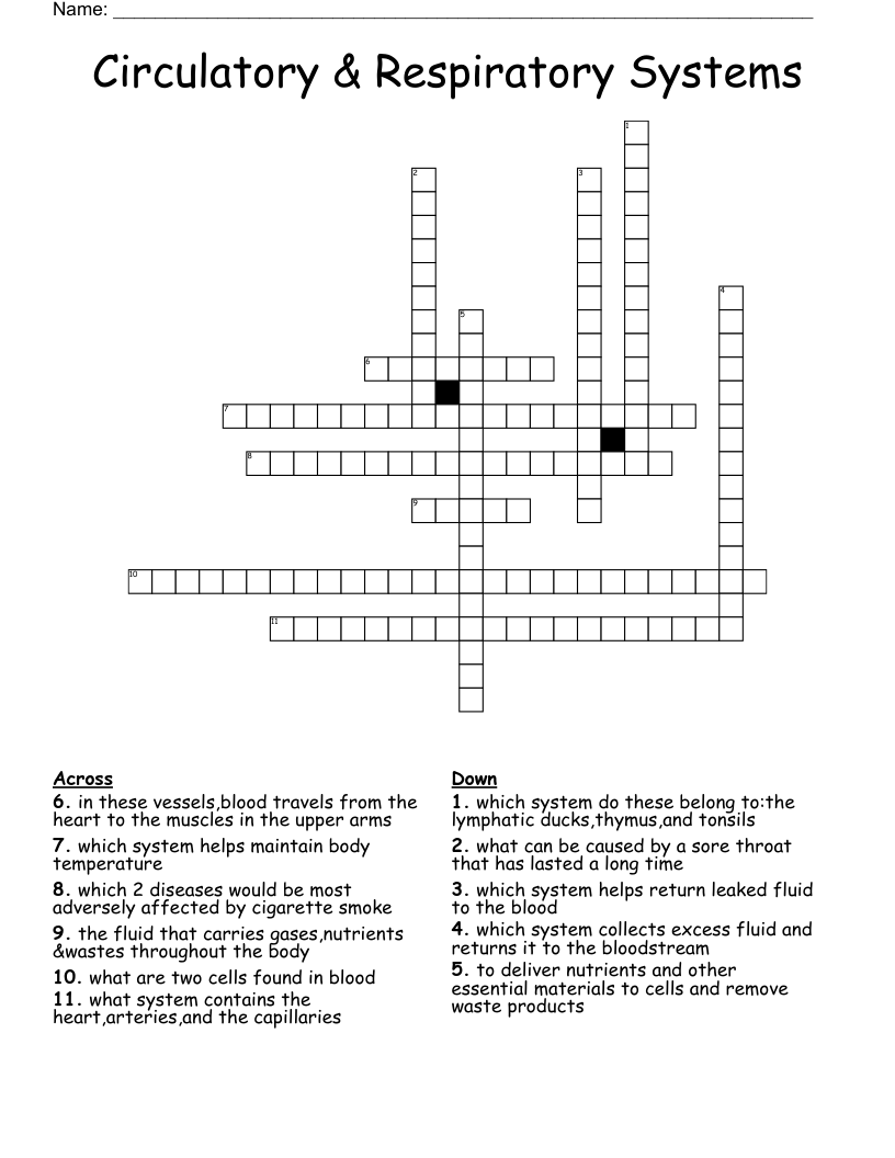 Circulatory & Respiratory Systems Crossword
