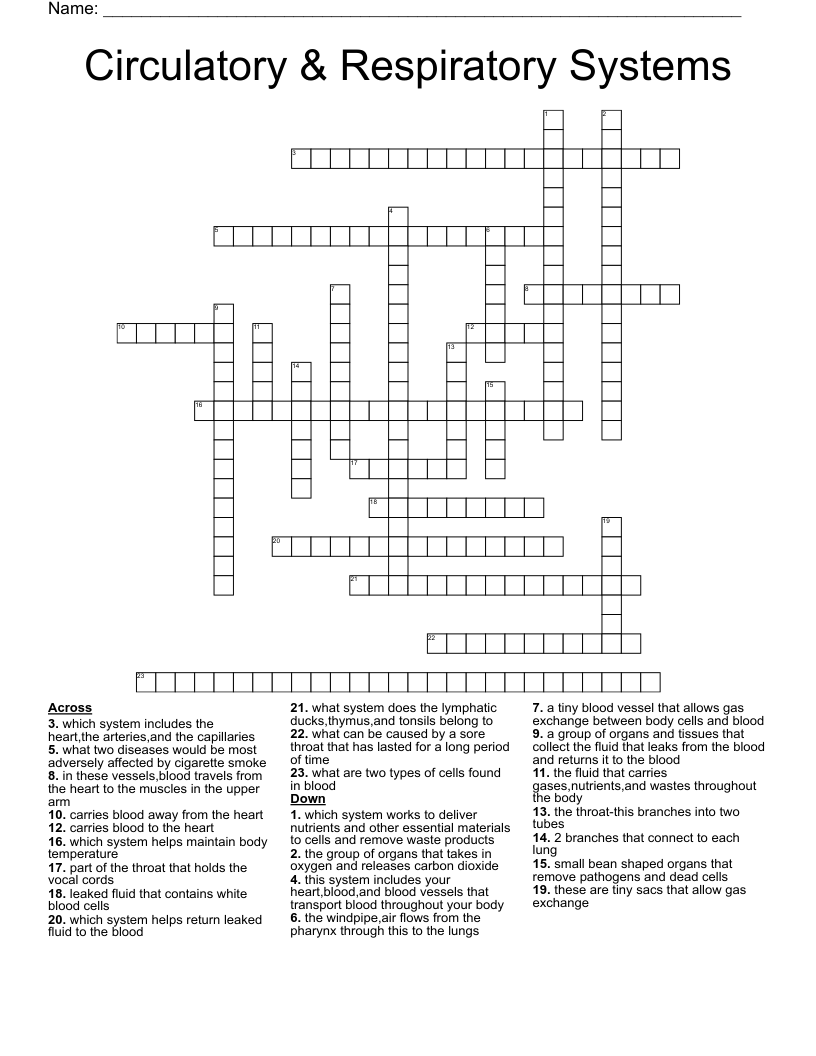 Circulatory & Respiratory Systems Crossword