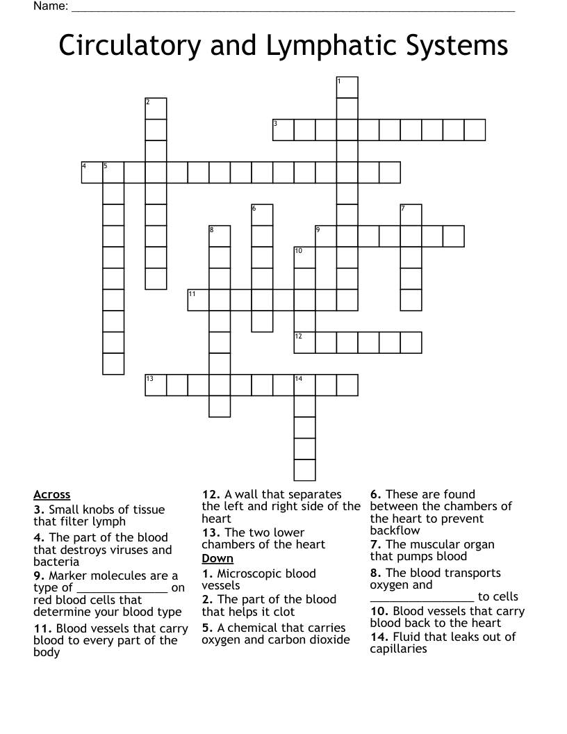 Circulatory and Lymphatic Systems Crossword