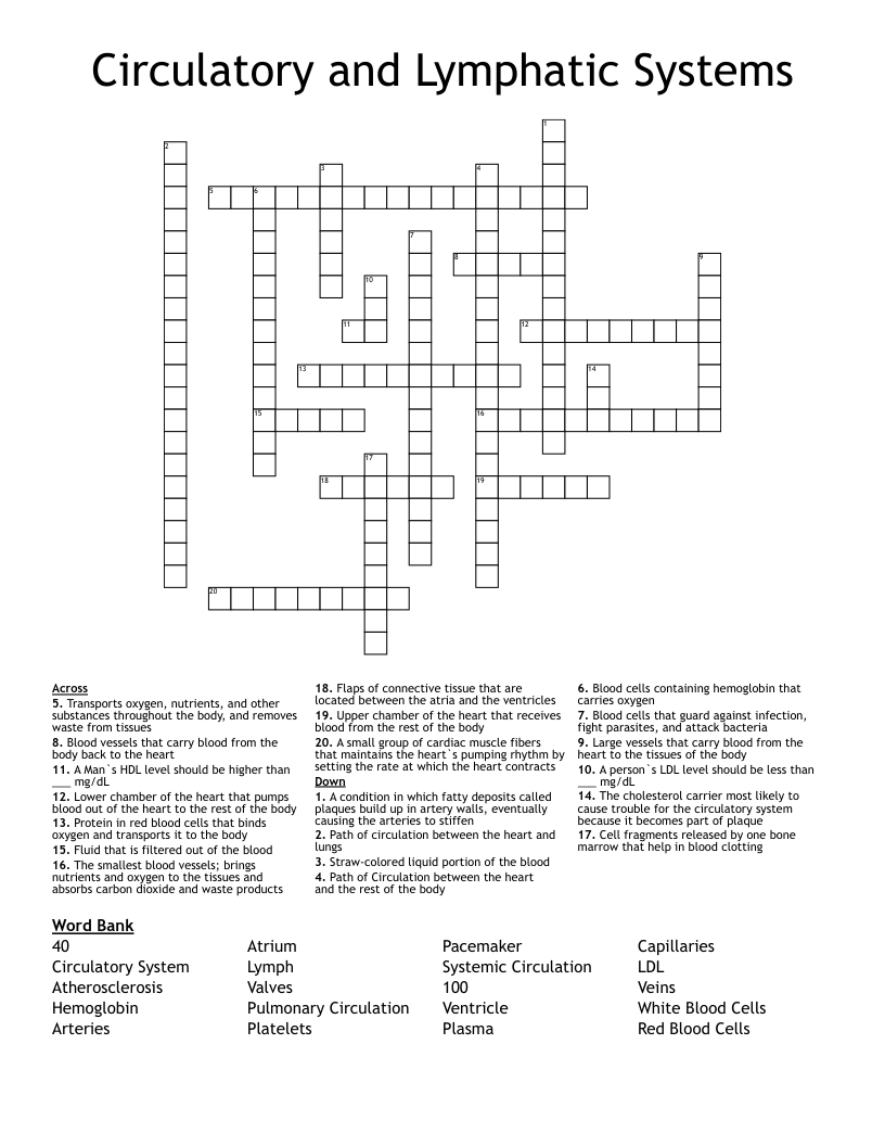 Circulatory and Lymphatic Systems Crossword