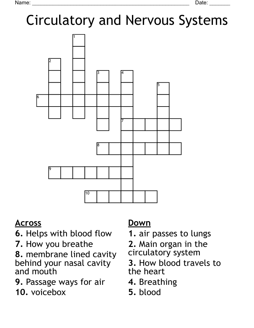 Circulatory and Nervous Systems Crossword