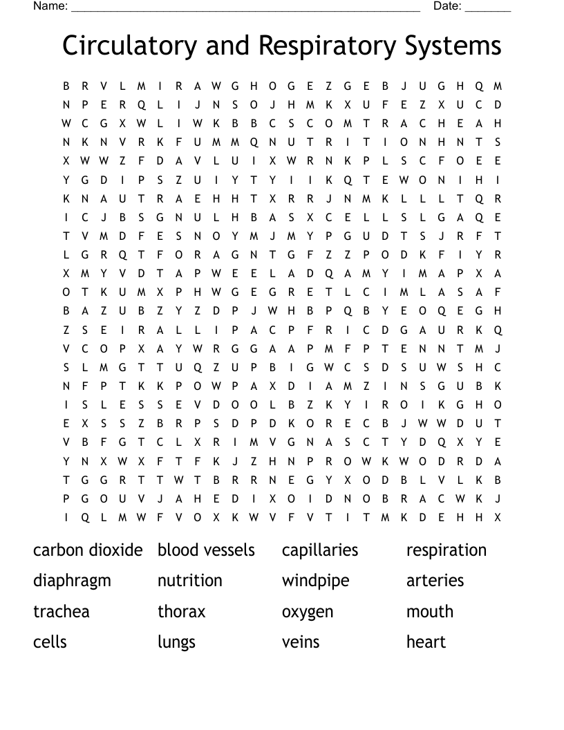 Circulatory and Respiratory Systems  Word Search
