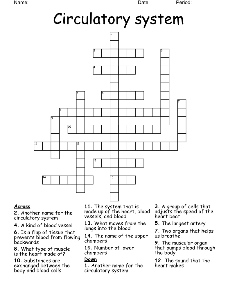 Circulatory system Crossword
