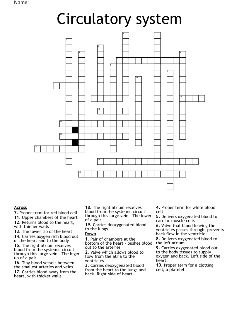 Circulatory system Crossword