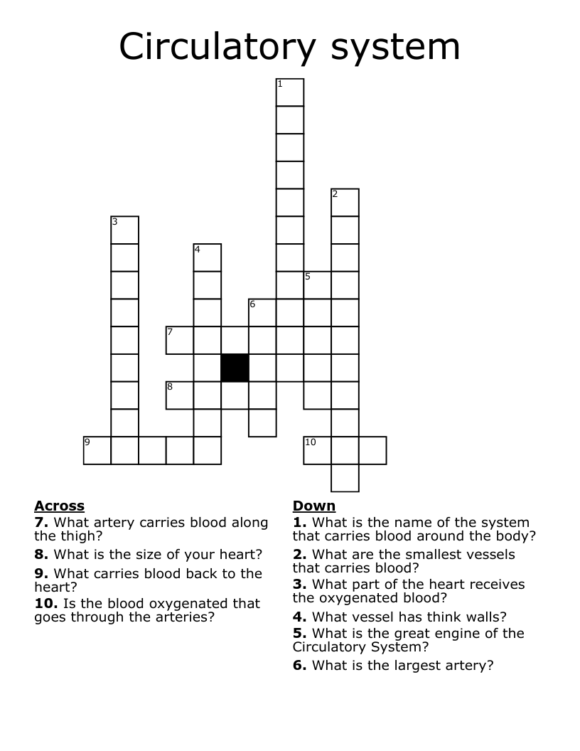 Circulatory system Crossword