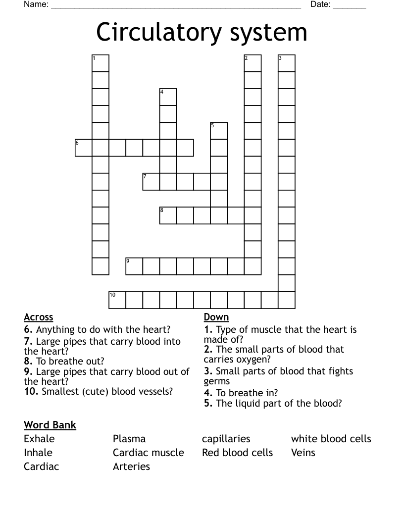 Circulatory system Crossword