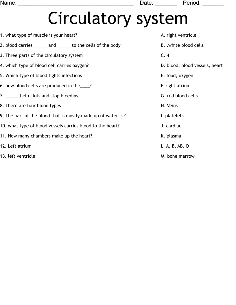 Circulatory system  Worksheet