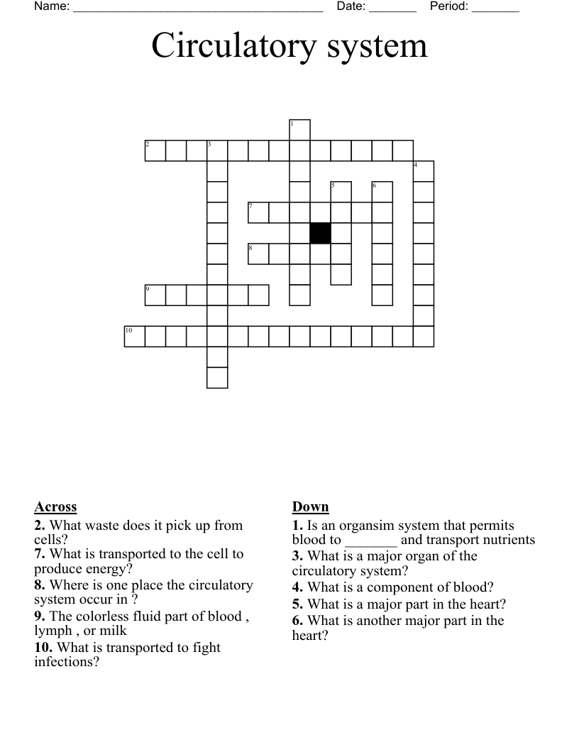 Circulatory system  Crossword