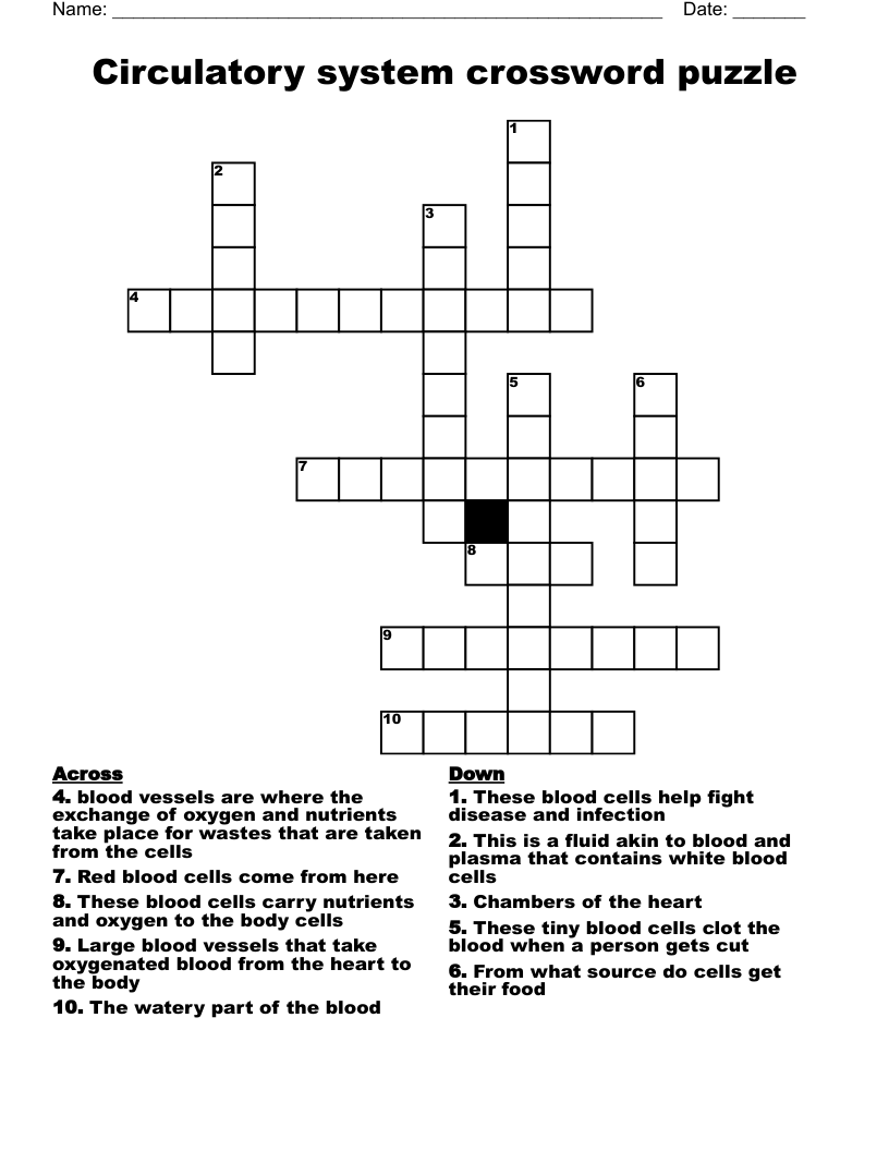 Circulatory system crossword puzzle