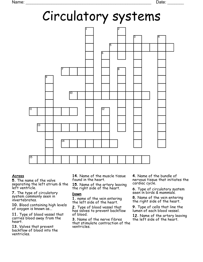 Circulatory systems Crossword