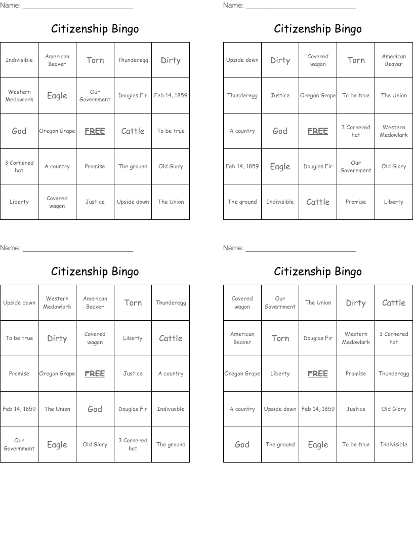 Citizenship Bingo