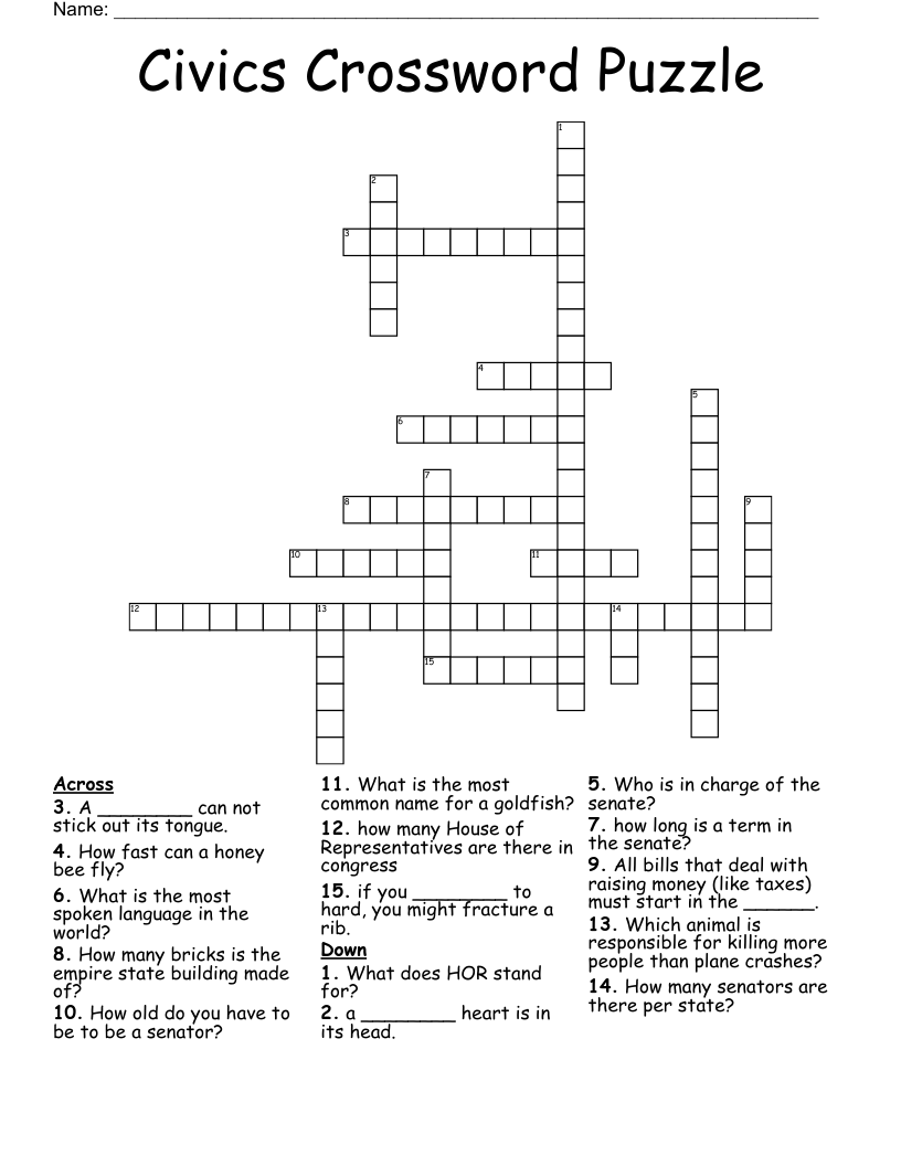 Civics Crossword Puzzle