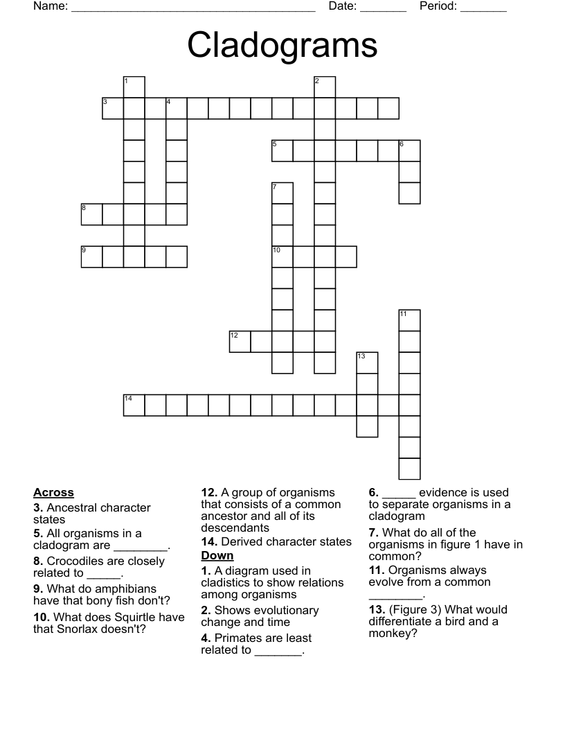 Cladograms Crossword