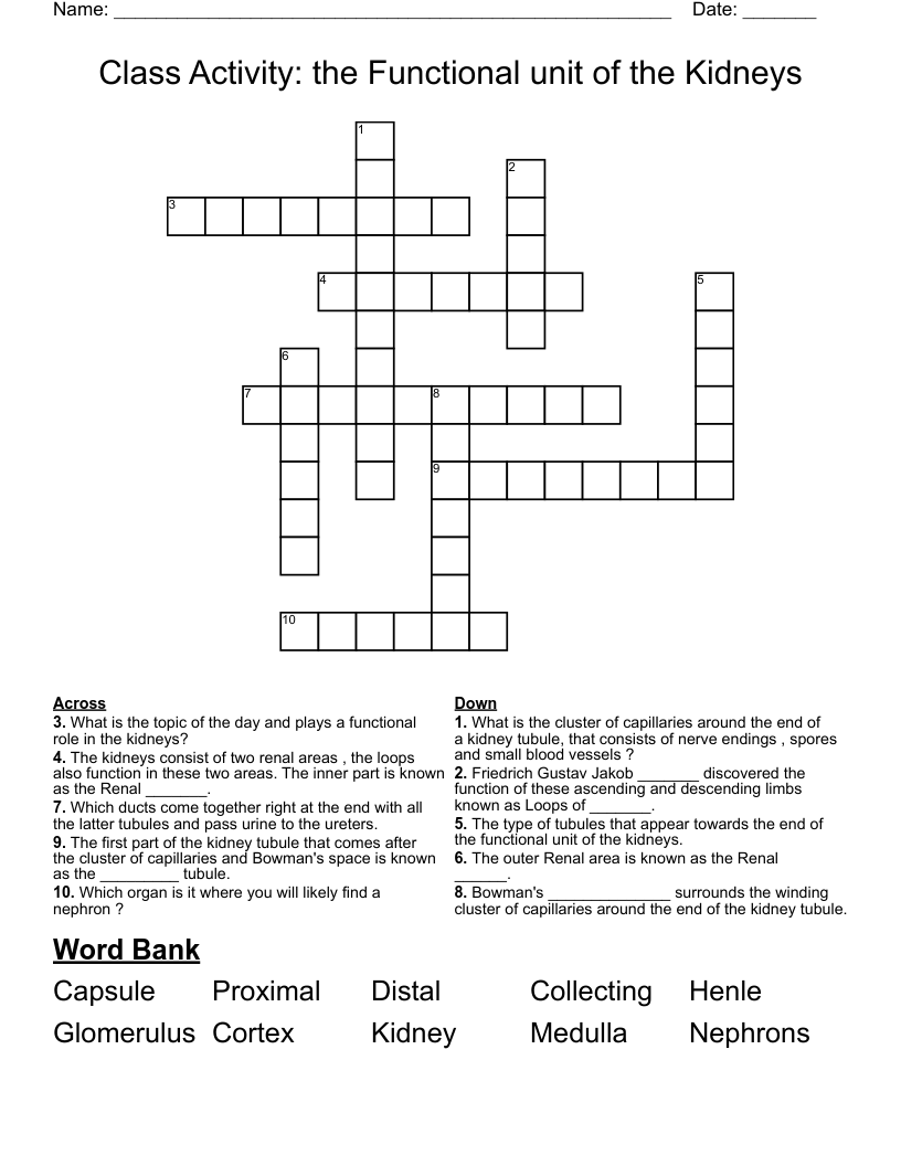 Class Activity: the Functional unit of the Kidneys  Crossword