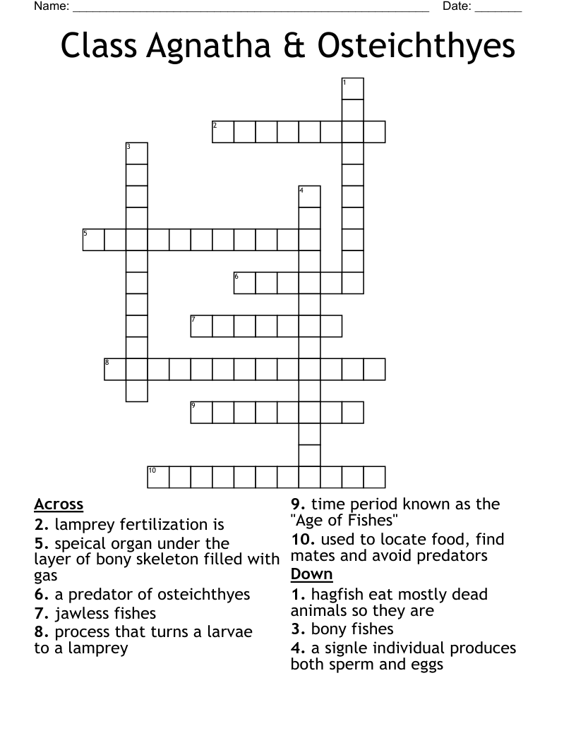 Class Agnatha & Osteichthyes Crossword