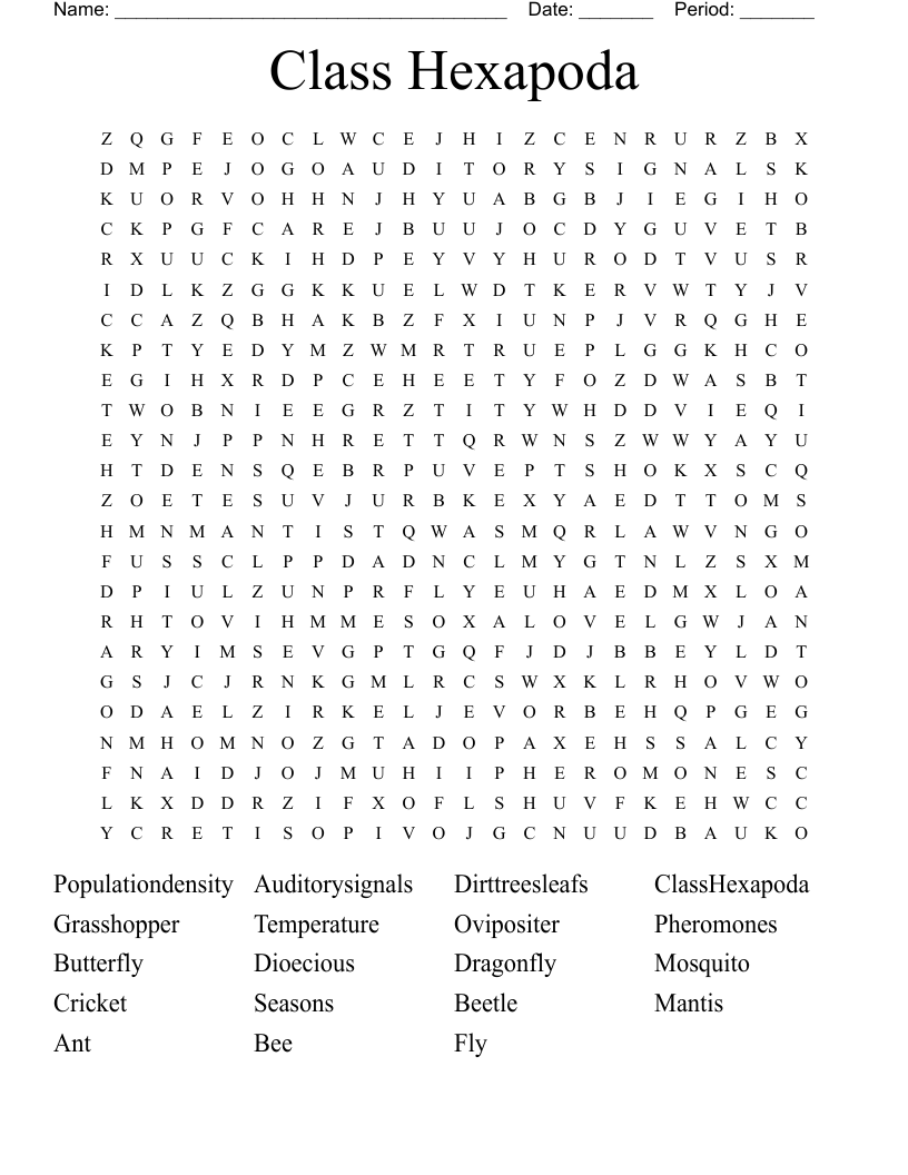 Class Hexapoda Word Search
