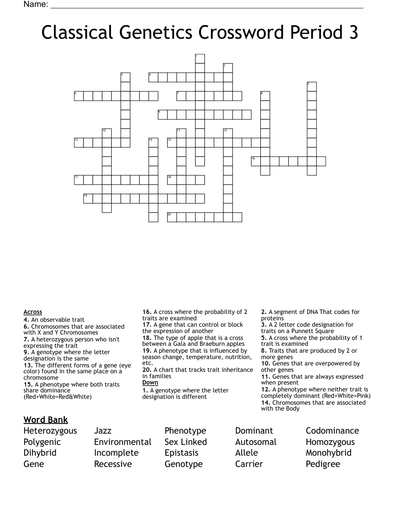 Classical Genetics Crossword Period 3