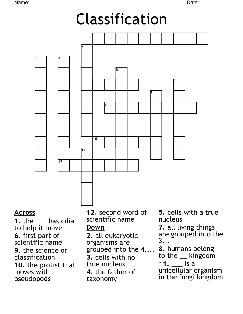 Classification Crossword