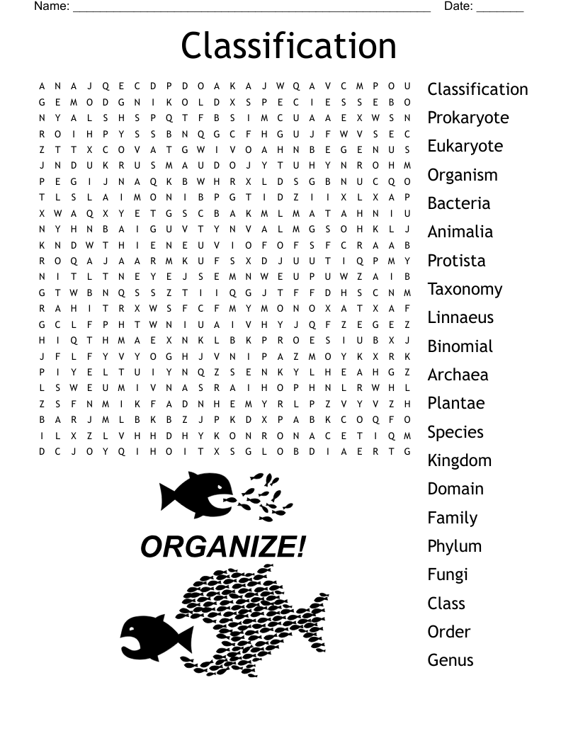 Classification Word Search