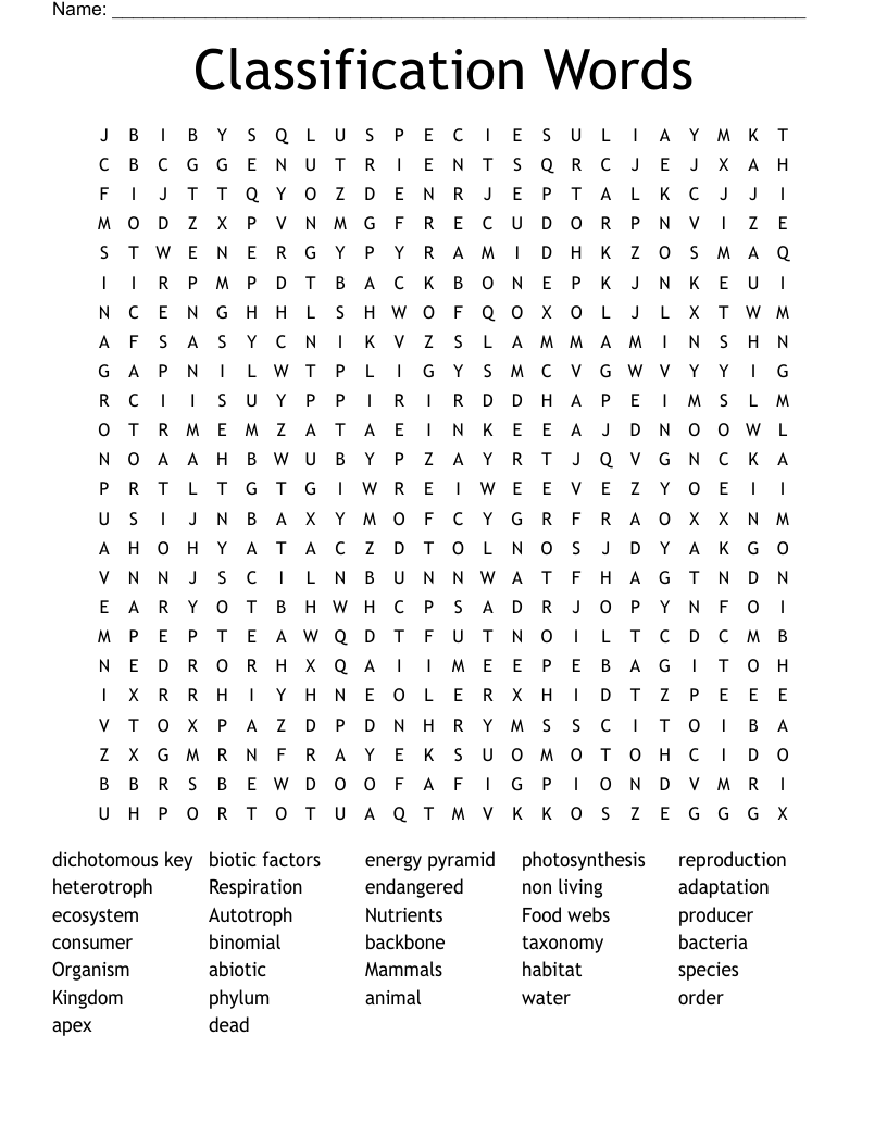 Classification Words Word Search