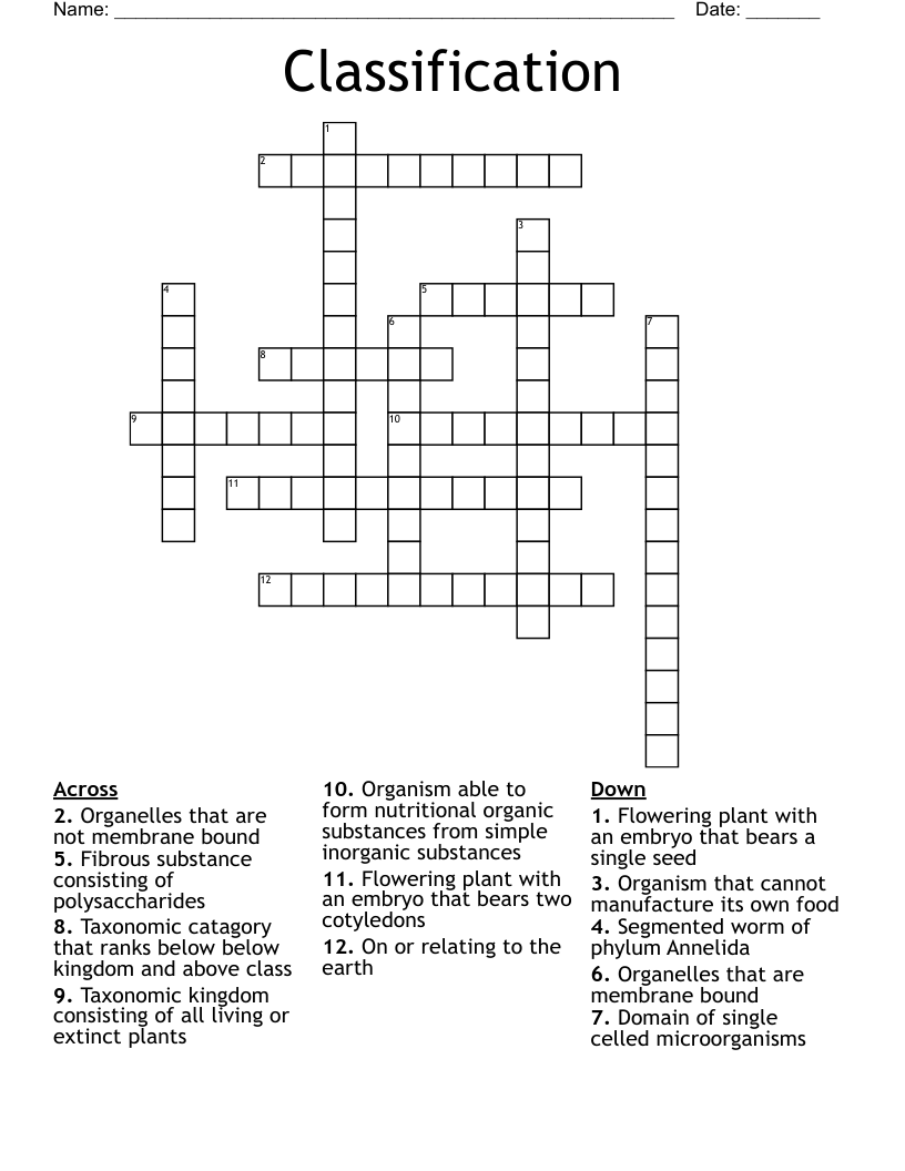 Classification  Crossword