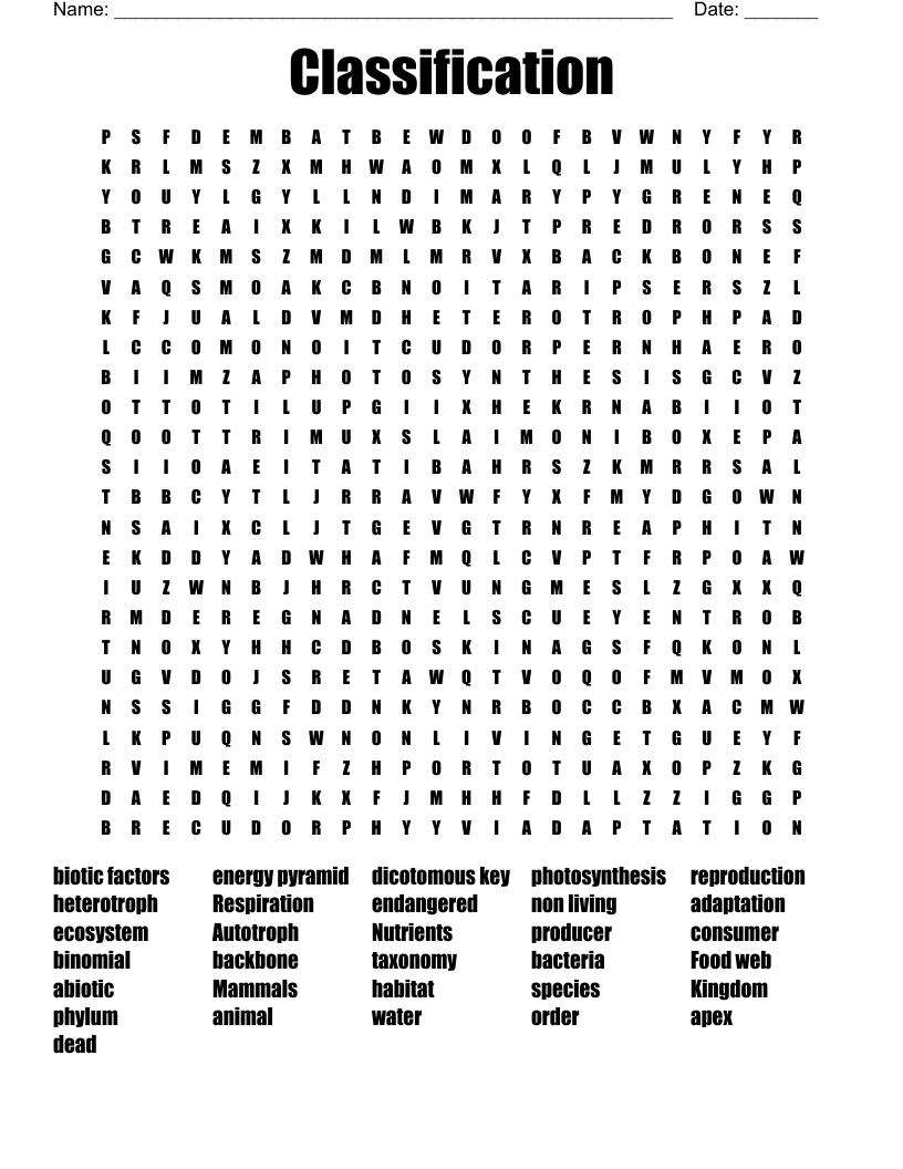 Classification  Word Search