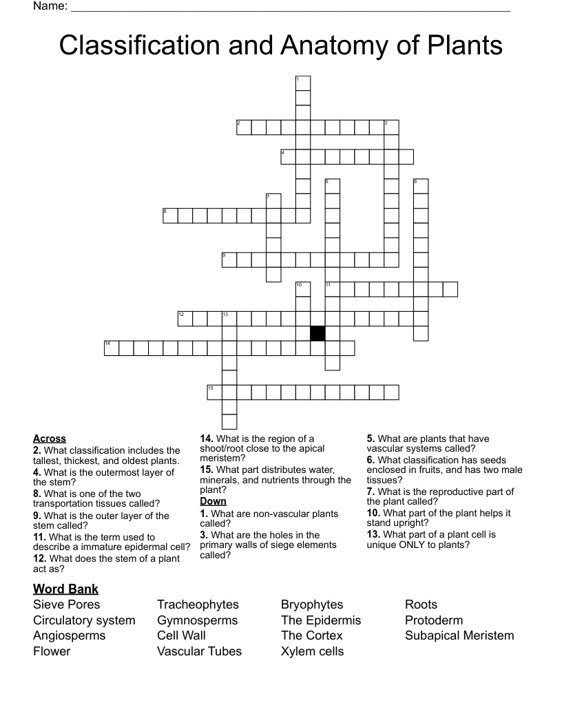 Classification and Anatomy of Plants Crossword