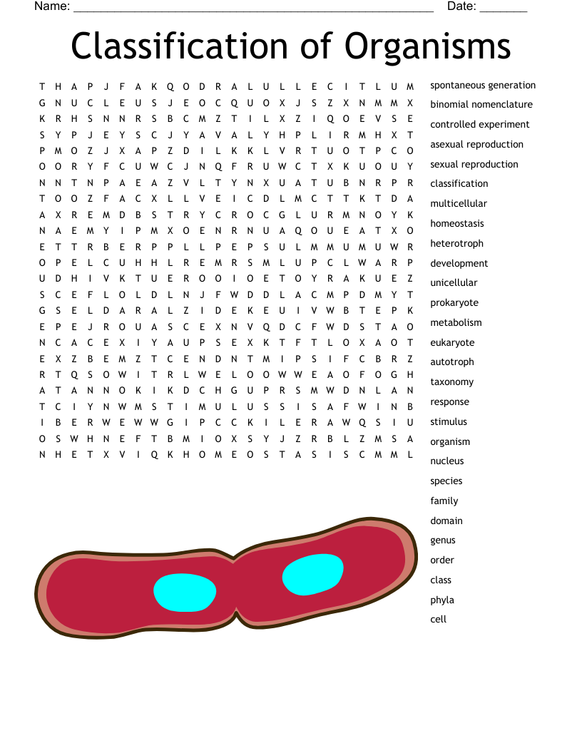 Classification of Organisms Word Search