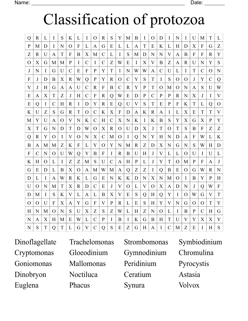 Classification of protozoa Word Search