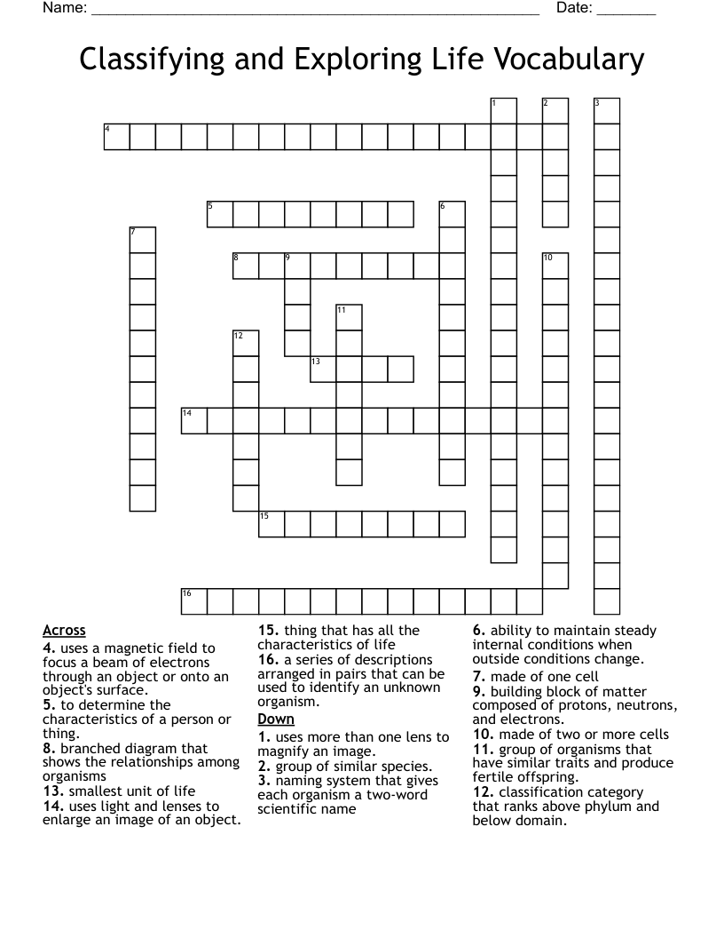 Classifying and Exploring Life Vocabulary  Crossword