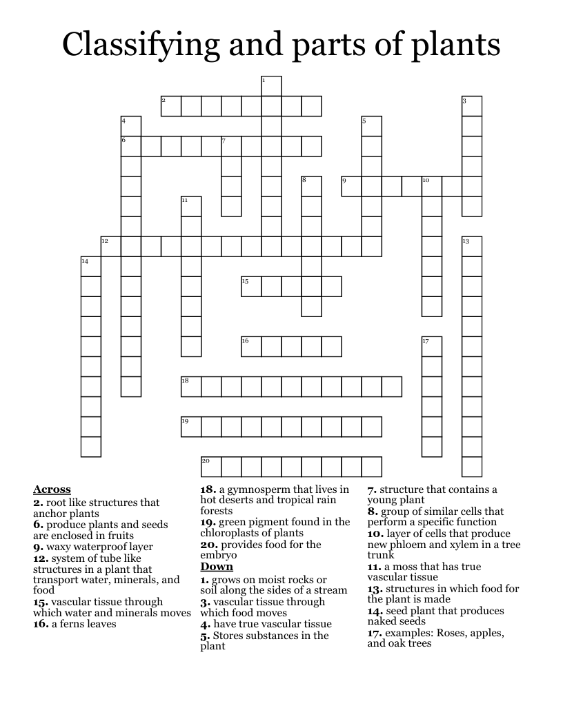 Classifying and parts of plants  Crossword
