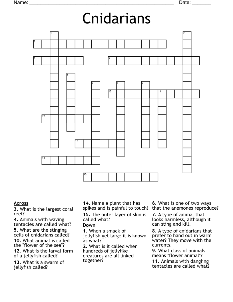 Cnidarians Crossword