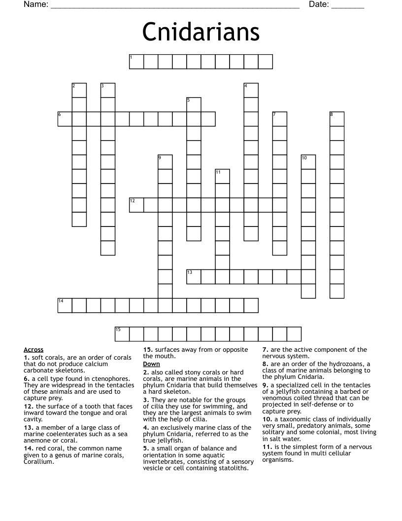 Cnidarians Crossword