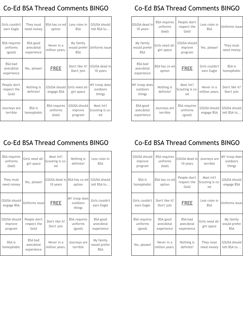 Co-Ed BSA Thread Comments BINGO
