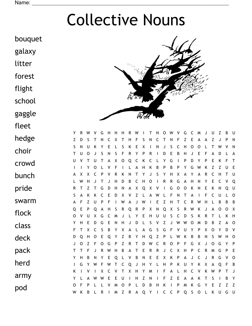 Collective Nouns Word Search