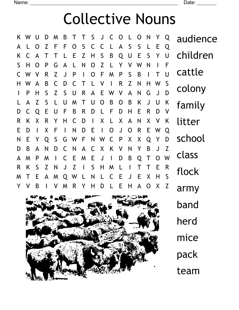 Collective Nouns Word Search
